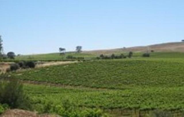 Stonewell Cottages And Vineyards Tanunda Buitenkant foto