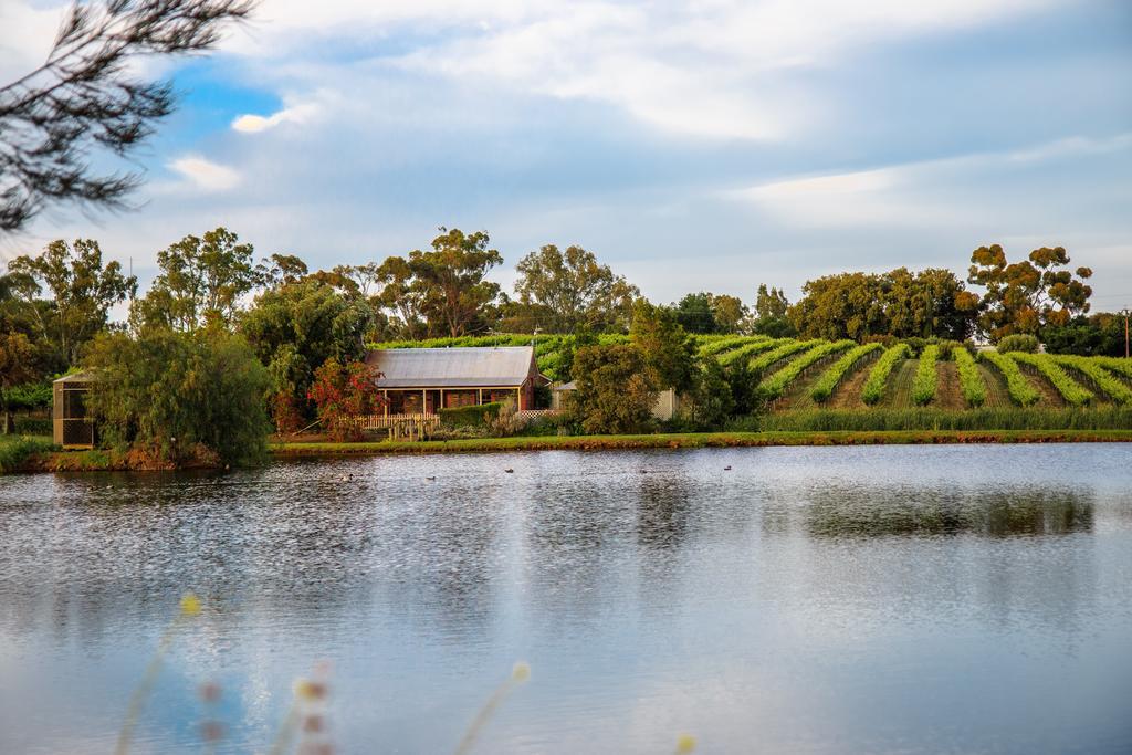 Stonewell Cottages And Vineyards Tanunda Buitenkant foto