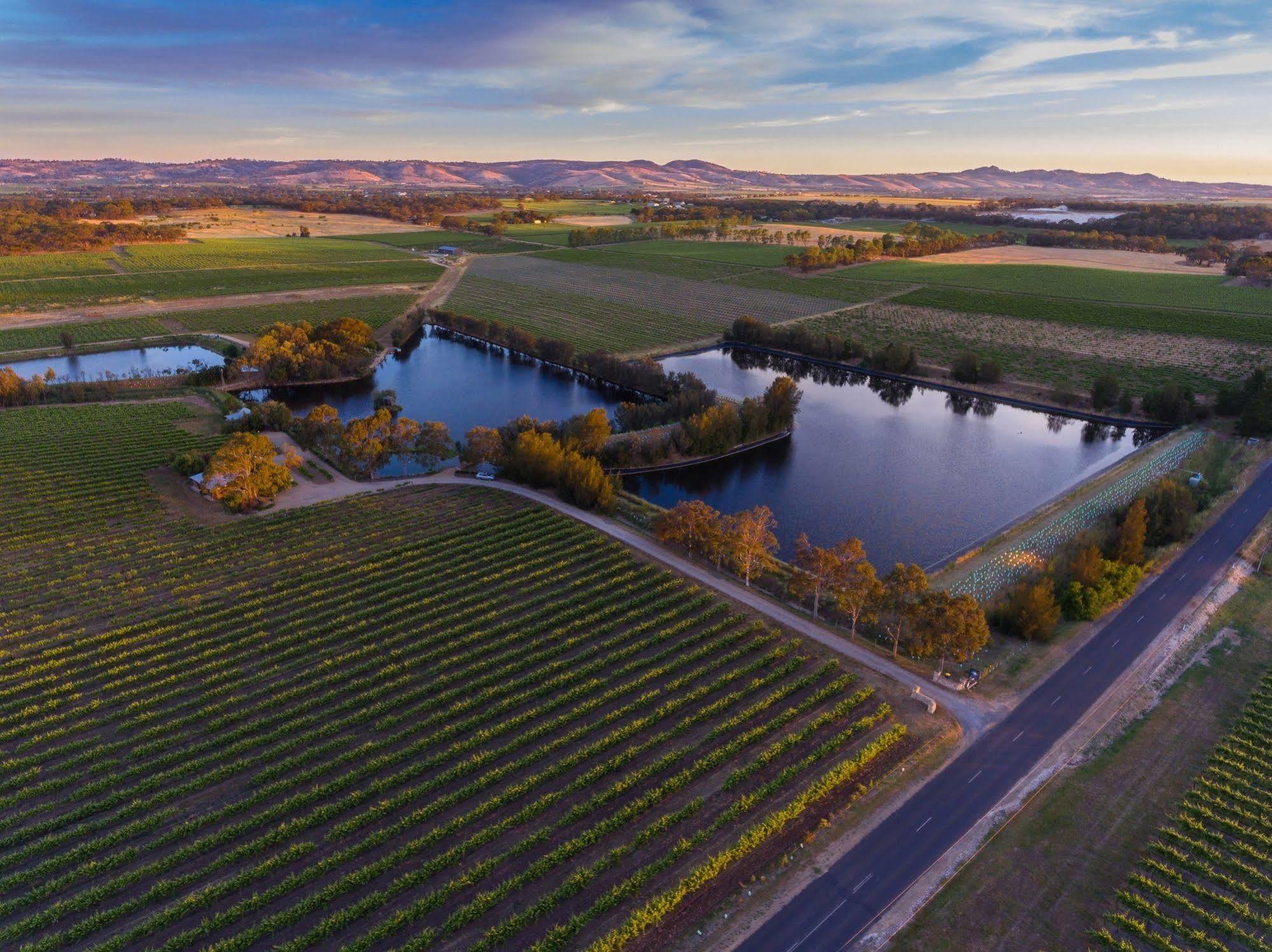 Stonewell Cottages And Vineyards Tanunda Buitenkant foto