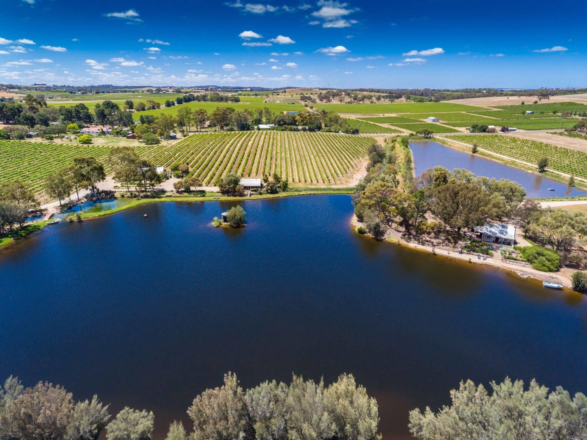 Stonewell Cottages And Vineyards Tanunda Buitenkant foto