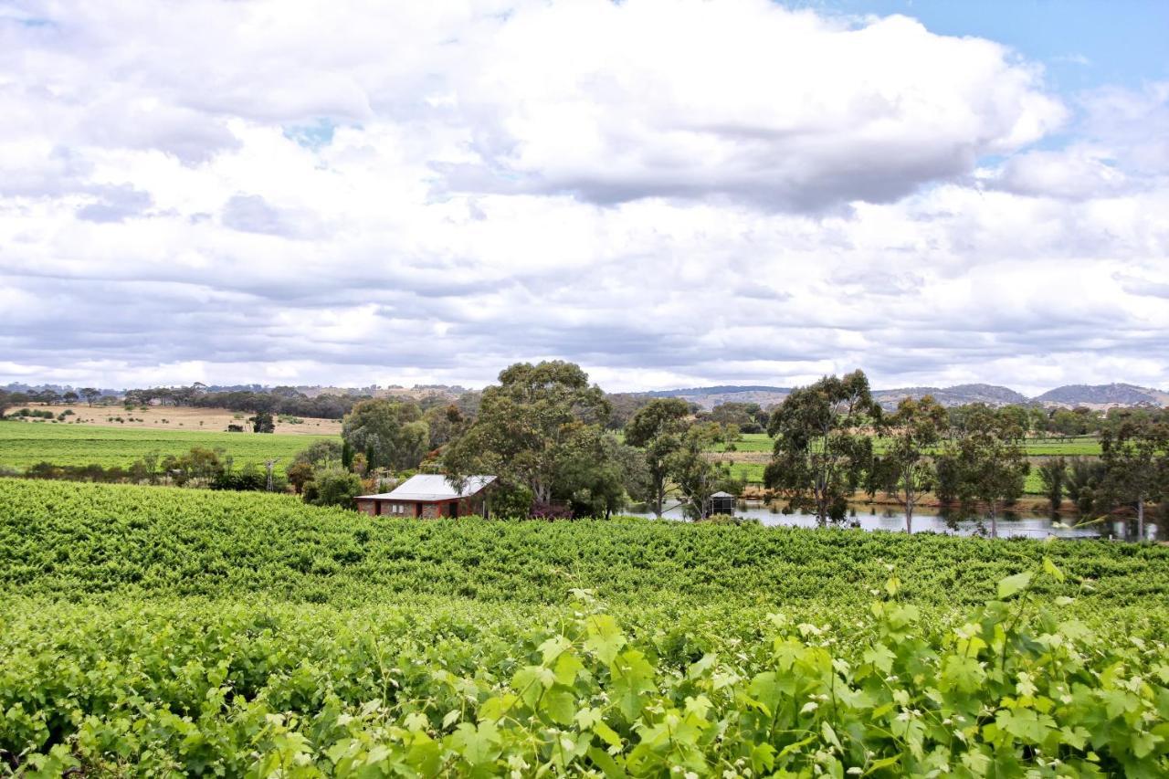Stonewell Cottages And Vineyards Tanunda Buitenkant foto